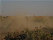 PERFORMANCE “THE FALL OF COMMAND”, VARAMIN DESERT